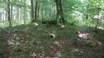 Zalantzazko argazkia