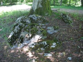 Zalantzazko argazkiak