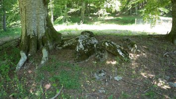 Zalantzazko argazkia