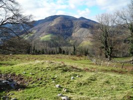 Mendigaña eremu tumulrra