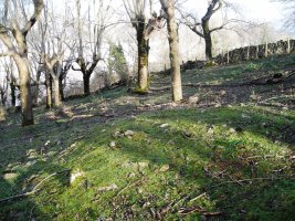 Indarteko  Borda eremu tumularra