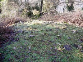 Indarteko  Borda eremu tumularra