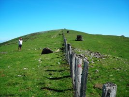 Uztanborro  trikuharria