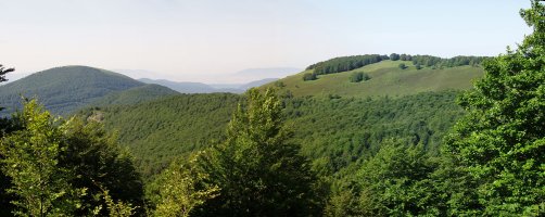 Baratxueta eta Urdanatz Burdindogiko basoko argiune batetik