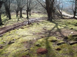 Gainxobordako lepoa harrespila