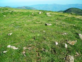 Gurutze Meaka harrespila