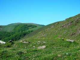 Gurutze Meaka harrespila