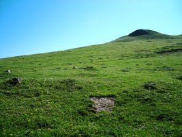 Gurutze Meaka harrespila