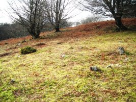 Berdaritz harrespila