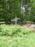 Akerreriako behatokiaren adierazgarria