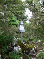 Malgorrako txartelontzia