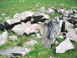 Luurzu 1 erdi trikuharria