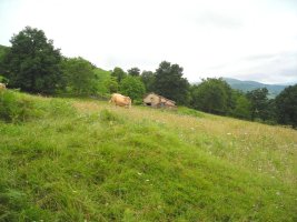 Munuxketa etxola hondoa