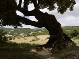 Eraul herria hondoan duela