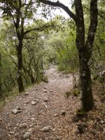 Larrion aldetik igotzen den bidea