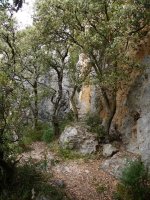 Lazkuako  begiratokikorako bidea