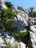 Malkarrak jaisten lagunduko digun kablea