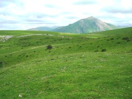 Irazulo etxola hondoa