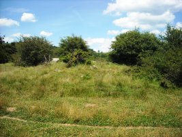 Llano de Erremendia trikuharria