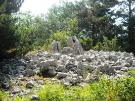 Sagarrana trikuharria