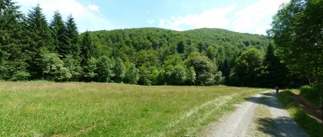 Aitzarbil, Orokietako mendateko 5. kilometroan hasten den pistatik.