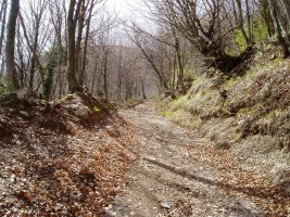 Goiko Landetatik Goldetxoko atakara igotzen den bidea