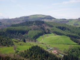 Illaun ipar-ekialdetik ikusita