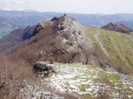 Mako Herniotik ikusita