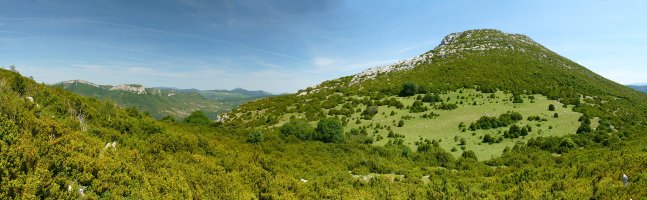 Elke eta Elkezelaiko lepoa