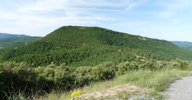 Urdazkain Elutsandiko lepotik