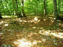 Puerto Viejo de Baquedano 2