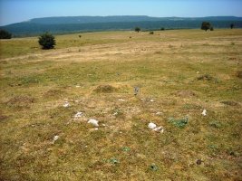 Camino de Arratondo ipar