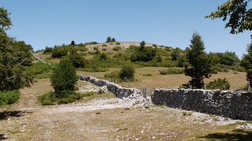 Hegoaldeko lepotik ikusita