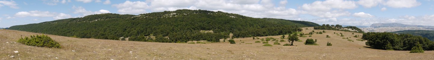 Zanabeko iparraldeko larreak eta Dulantz