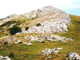 Gorostiaran mendebalde