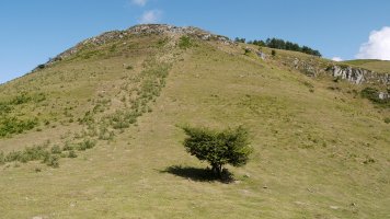 Tontorra Hegoaldeko bizkarretik