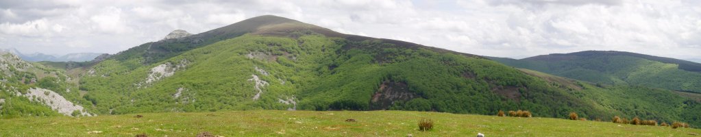 Usotegietatik ikusita