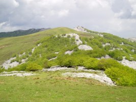Ipargorta eta Gorosteta Usotegietatik ikusita