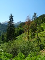 Paisaia zoragarriak bidean