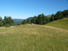 Adazidoia, Intzaga mendian