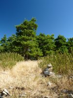 Ekialterreako gailurra