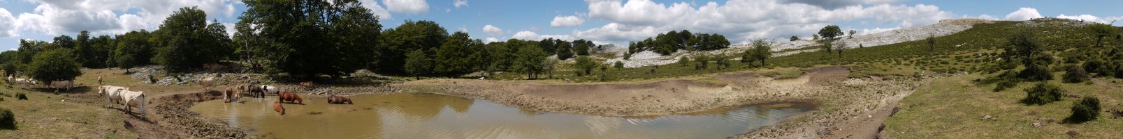 Mendebaldeko larreetako putzu baten inguruak