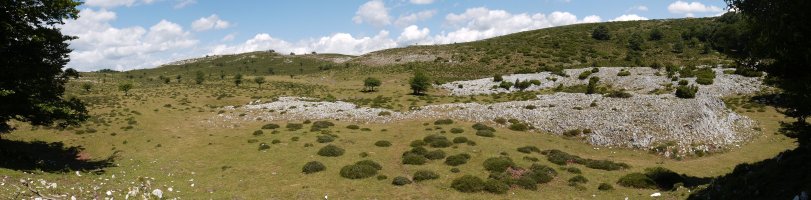 Mendebaldeko larreak