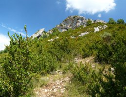 Berrondo Harria Olabeko bidetik