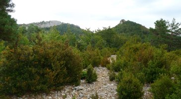 Borrotxulo eta Aritzgaña Burruxulaingo gailurretik