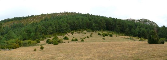Errasako lepoa, Aritzgañako bizkarraren azpian