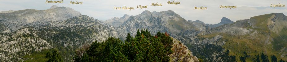 Nafar Pirinioak Lapazarratik