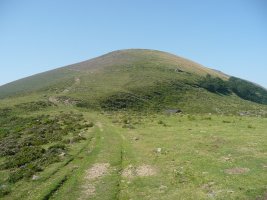 Austigarmin Ingurutik