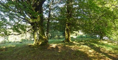 Lertzako gailurra. Txartelontzia desagertu egin da