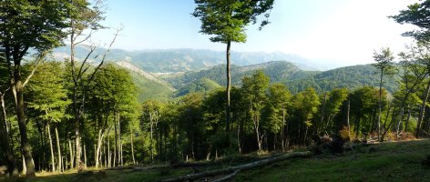 Iparraldeko ikuspegia